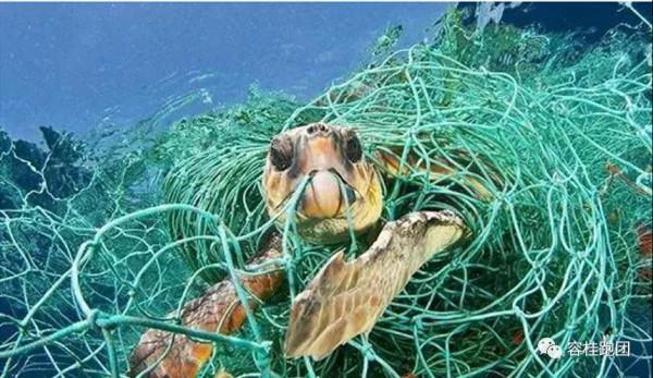 為了一個潔淨的星球 為了一個潔淨的星球