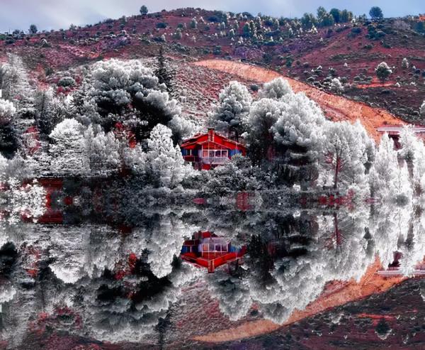 品,秋的味道 品,秋的味道