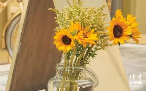 你的善良,必須有點兒鋒芒 你的善良,必須有點兒鋒芒