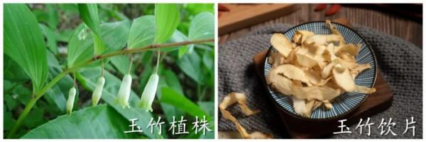 玉竹又名葳蕤，具有養陰潤燥之效，還能潤澤肌膚