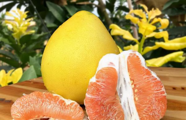 糖尿病人吃橘子,究竟是升糖還是降糖?別亂猜了,聽聽醫生怎麼說 糖尿病人吃橘子,究竟是升糖還是降糖?別亂猜了,聽聽醫生怎麼說