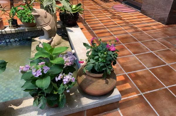 45天改造70㎡自家院子,他僅花4.2萬元,改後的花園也太美了吧 45天改造70㎡自家院子,他僅花4.2萬元,改後的花園也太美了吧