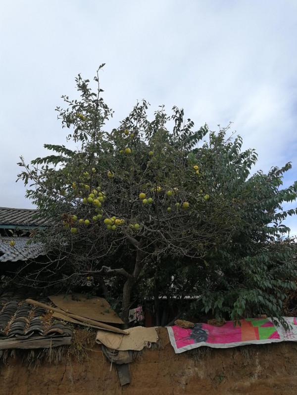 怎樣起個好名字 59 八卦起名法 怎樣起個好名字 59 八卦起名法