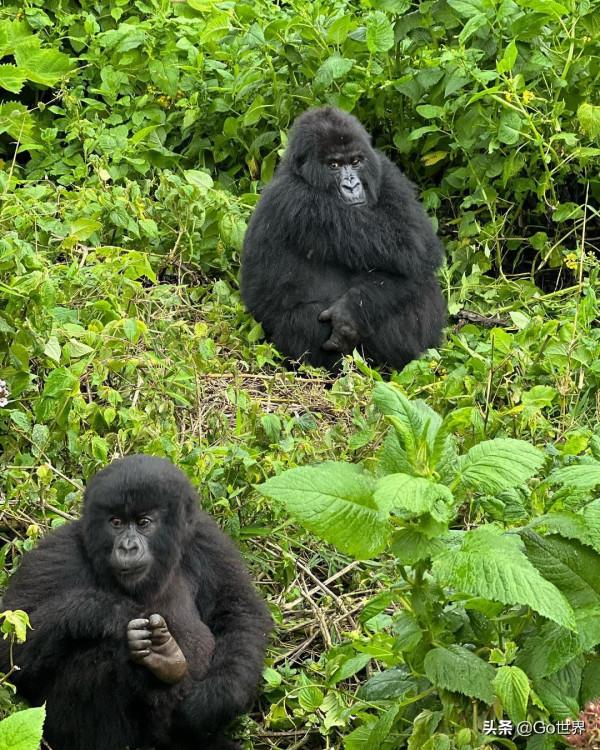 2022年世界上最貴的10家酒店