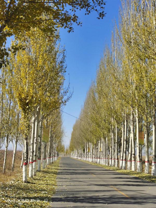 一路走來一路拍，只是想把美景分享給朋友們