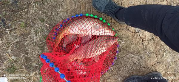 春節新釣箱成功開光