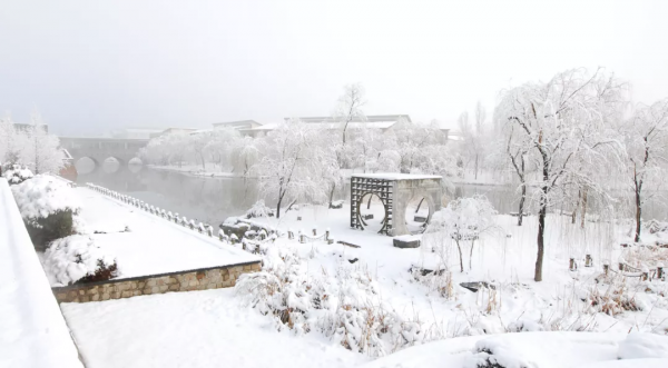 快來看，蘇家坨鎮的雪景美出了圈！