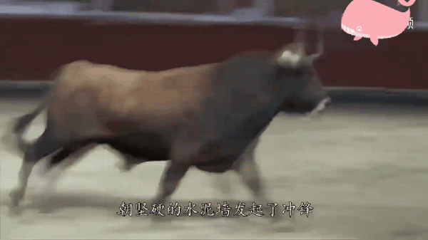 牛！上演我命由我不由天！看看怎麼回事？