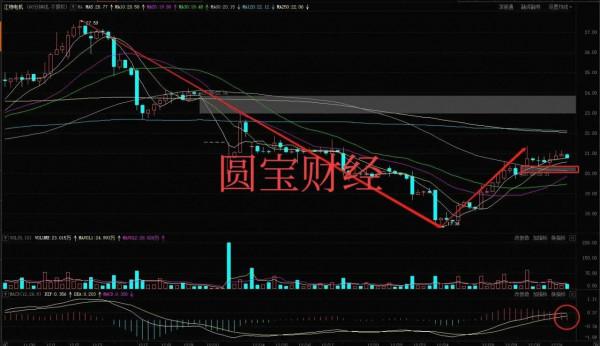 江特電機資料分析:千淘萬漉雖辛苦,吹盡狂沙始到金 江特電機資料分析:千淘萬漉雖辛苦,吹盡狂沙始到金