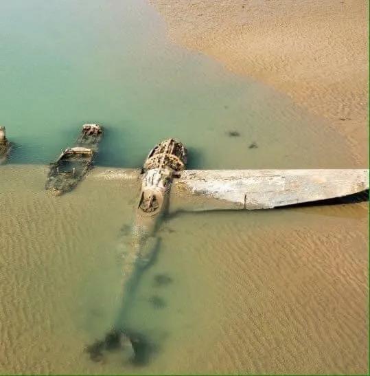 33張活久未見的照片,200 公斤重的藍鯨心臟,螞蟻腿上安裝高蹺 33張活久未見的照片,200 公斤重的藍鯨心臟,螞蟻腿上安裝高蹺