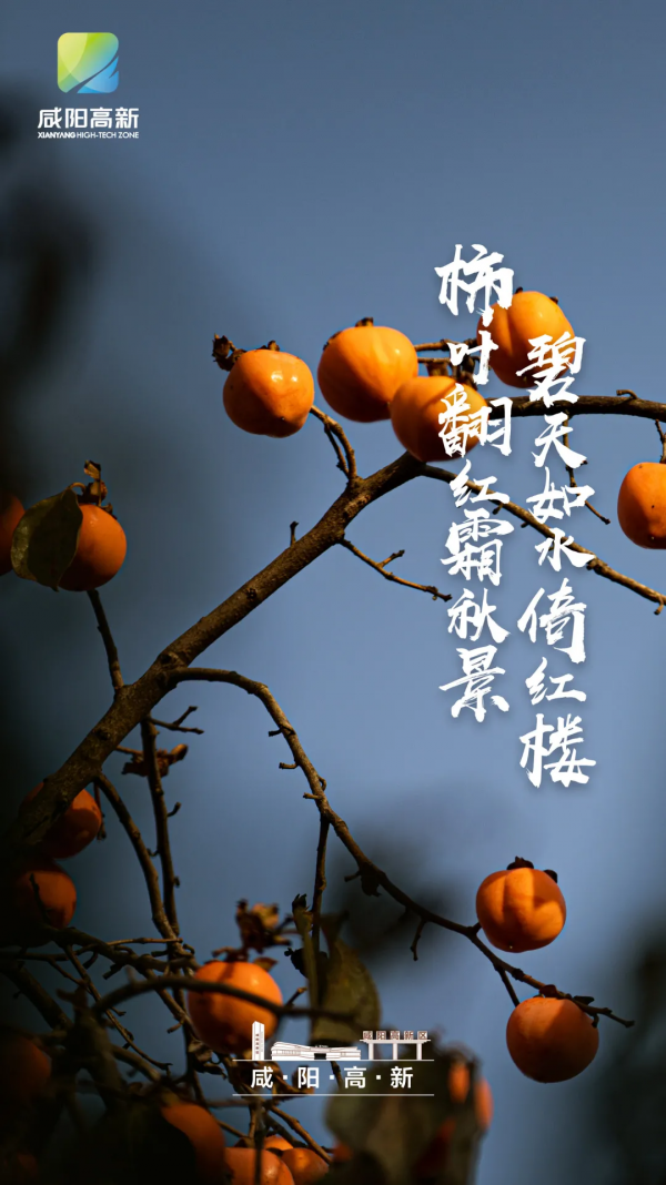 高新的秋天,每一張都是桌布! 高新的秋天,每一張都是桌布!