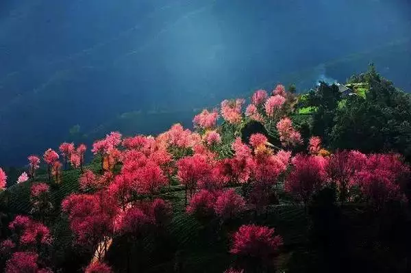 未來2個月,這些地方將美成天堂!再一場旅行,2021才完美 未來2個月,這些地方將美成天堂!再一場旅行,2021才完美