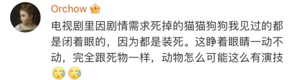 所以於正劇組虐貓了嗎