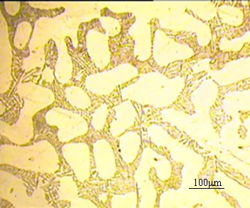 電流突變下磁場和半固態A356鋁合金組織的變化