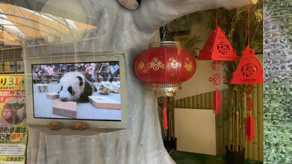 中國駐大阪總領事薛劍春節慰問旅日&OpenCurlyDoubleQuote;外交官&rdquo;