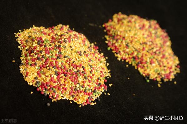 冬季野釣不發窩，我教你快速發窩