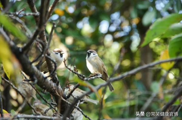 人為什麼會認床？不是嬌氣，科學是這樣解釋的
