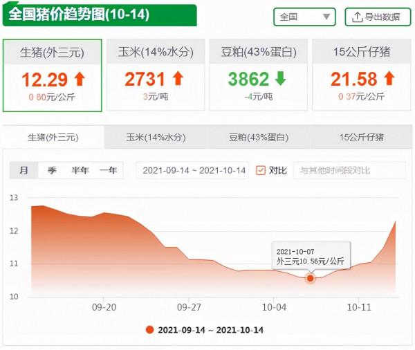 10月13日10公斤仔豬價格：豬價上漲至成本線？仔豬補欄為時尚早？