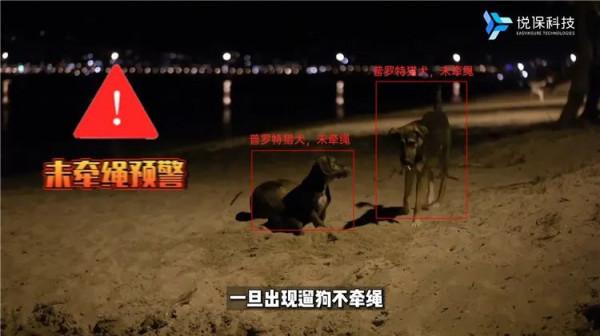 寵物黑科技,AI識別讓城市寵物管理更智慧 寵物黑科技,AI識別讓城市寵物管理更智慧