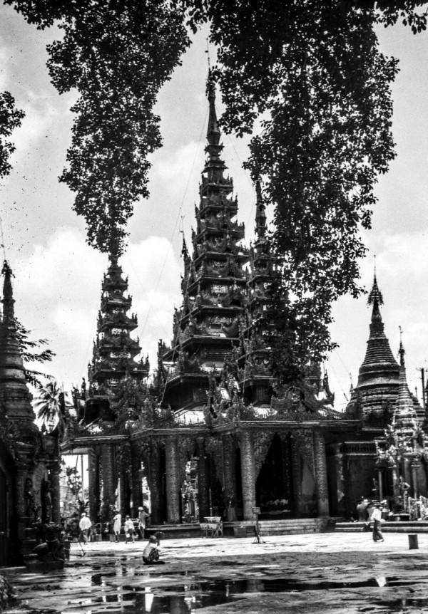 世界上最古老的文物，你見過幾個？