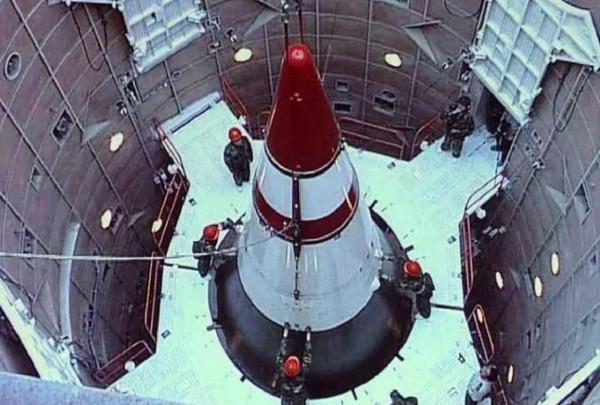 如果人類消失,什麼生物能成為地球的統治者?科學家:老鼠沒戲了 如果人類消失,什麼生物能成為地球的統治者?科學家:老鼠沒戲了