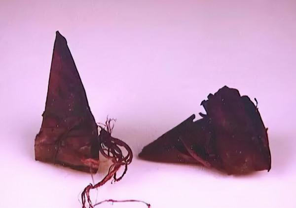 江西發現神秘宋墓,棺內畫著星宿圖,墓主人是個屍身不腐的貴婦 江西發現神秘宋墓,棺內畫著星宿圖,墓主人是個屍身不腐的貴婦