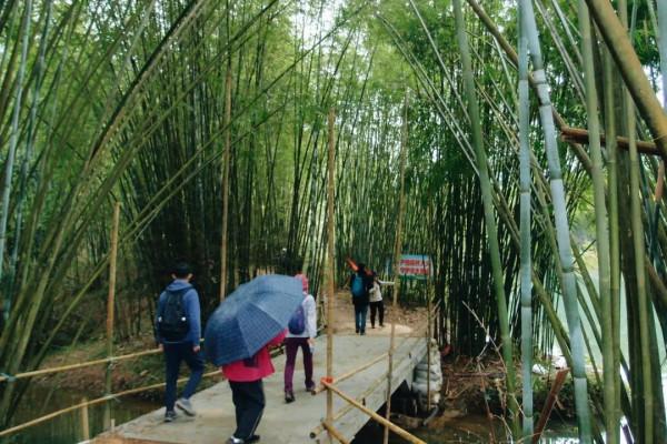 古水河徒步攻略｜當天來回-久在樊籠裡，復得返自然