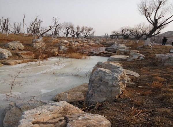 新年，很開心的一天