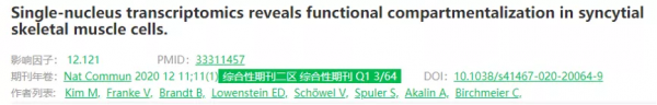 玩轉單細胞測序｜肌肉組織研究思路大揭秘