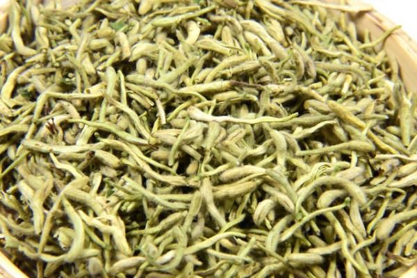 每日中藥——金銀花 每日中藥——金銀花