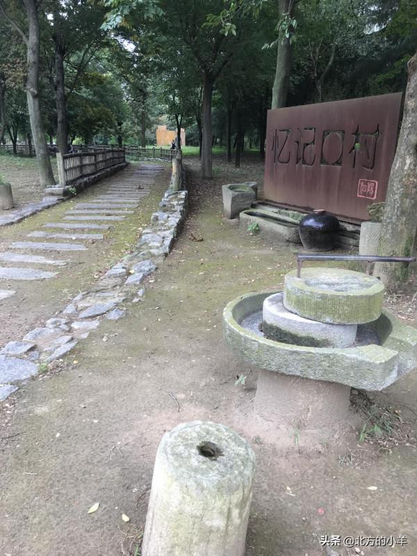 看祖國好風光：泗陽城市生態客廳