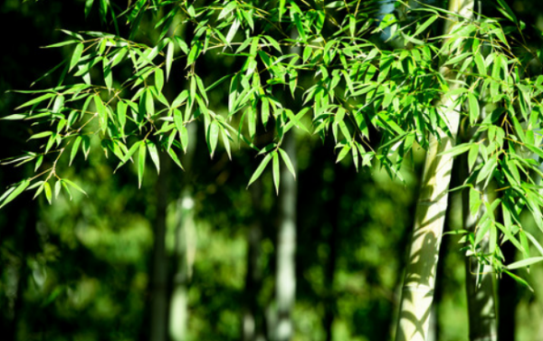 真正興旺發達的家庭,不僅會賺錢,還會做好這幾件事 真正興旺發達的家庭,不僅會賺錢,還會做好這幾件事