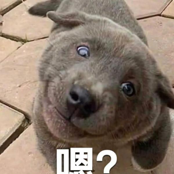 啊啊啊!馬上2022年了,是古裝年吧 啊啊啊!馬上2022年了,是古裝年吧