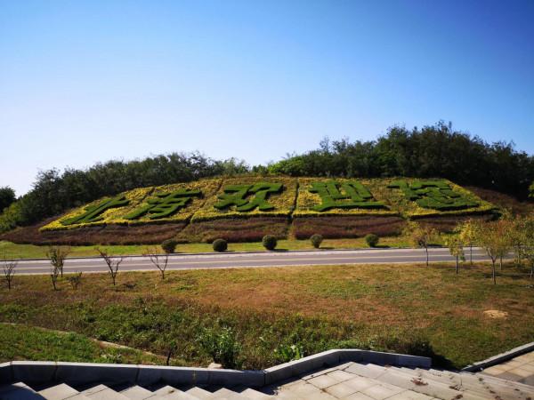 蓋州北海紅海灘 蓋州北海紅海灘