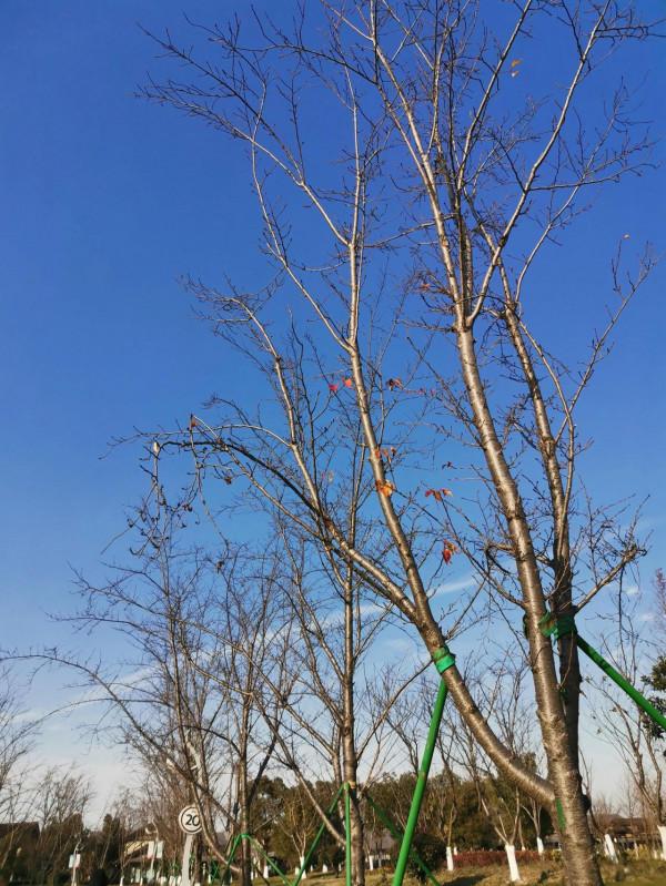 美啦美啦美啦，愛啦愛啦愛啦——第n次遊西山漾