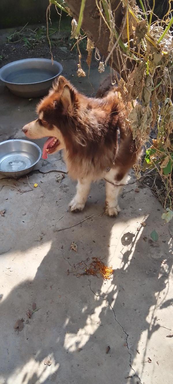 天天下雨煩死了 天天下雨煩死了