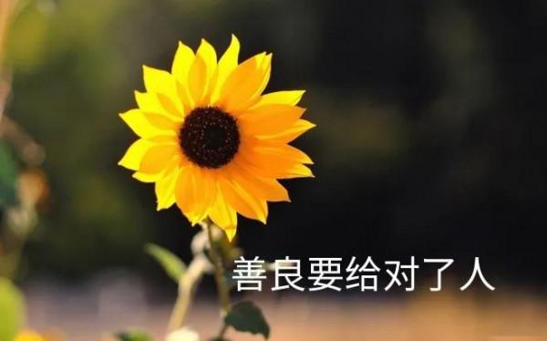 生活總是要向前看的