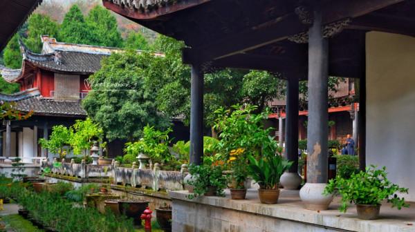 藏在浙江小縣城的5A“寶藏景點”：國清寺，和特別的植物“氣場”