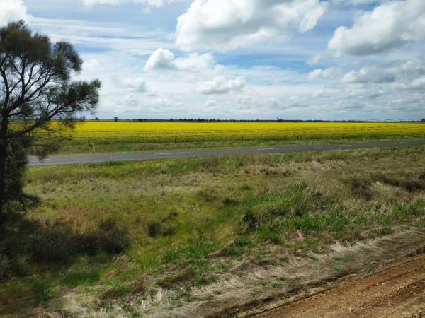 一路向東，乘“鴕鳥號”旅遊列車，從阿德萊德到巴拉瑞特