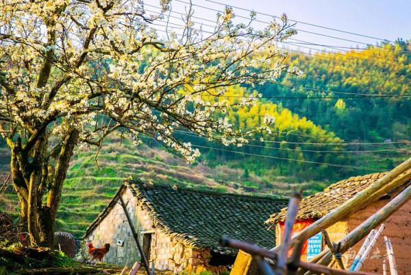 浙江十大冷門景點，人少景美好玩
