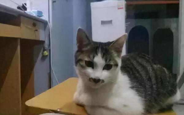 女大學生宿舍出現“禁用物品”?還可以下廚,男生:比我們還會玩 女大學生宿舍出現“禁用物品”?還可以下廚,男生:比我們還會玩