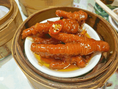 冬天必去的9個旅行地，背上心愛的相機，挑一個，現在就出發？