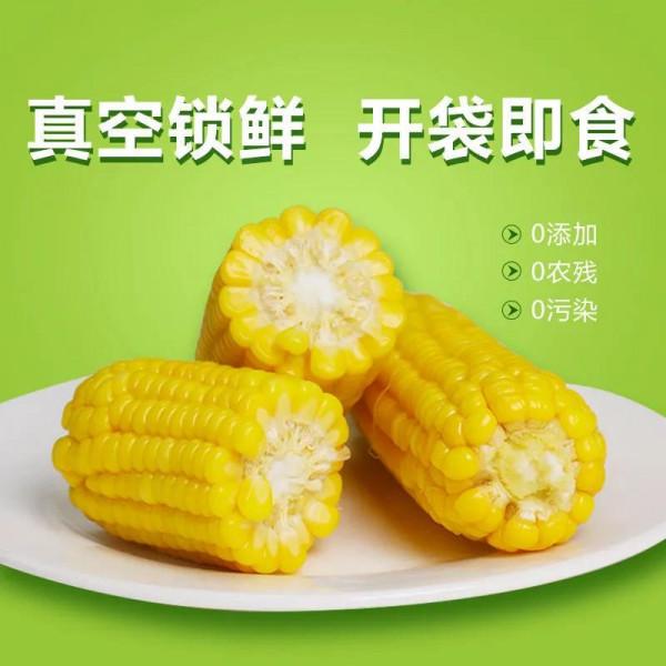 拼夕夕那些不用電加熱的速食