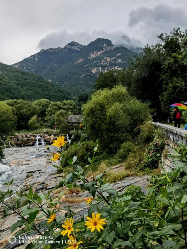 秋日雨後泰山黑龍潭