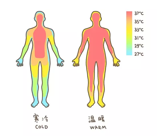 冬天總是手腳冰涼，是身體出問題了嗎？