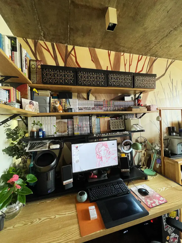 家裡有片雨林是什麼樣的體驗？帶你走進我的室內花園