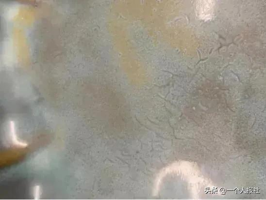 宋鈞瓷及明清仿品 宋鈞瓷及明清仿品