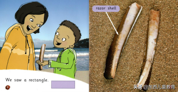 等了一年的分級閱讀王者:《大貓》來了 等了一年的分級閱讀王者:《大貓》來了