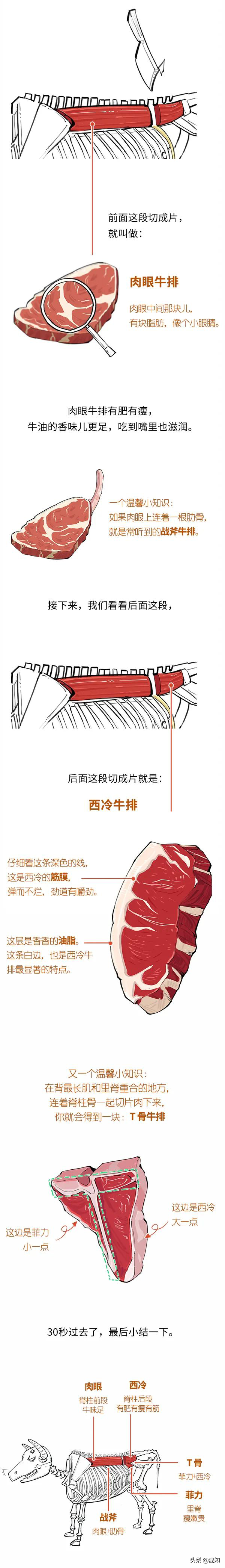 一張圖搞懂 5 大牛排！你是不是一直以為菲力牛排是個牌子？