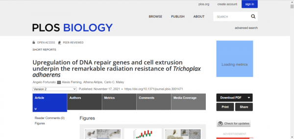 「PLOS Biology」它的天生抗癌能力能否造福人類？從物種進化中尋找治療癌症的新方法